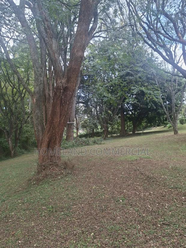 Land for Lease