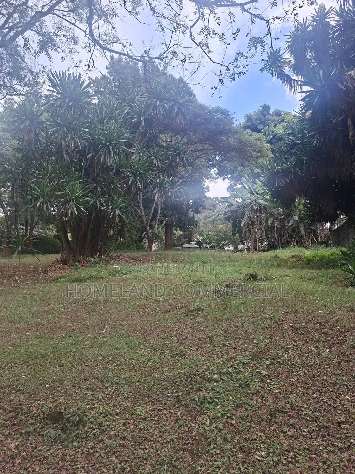 Land for Lease