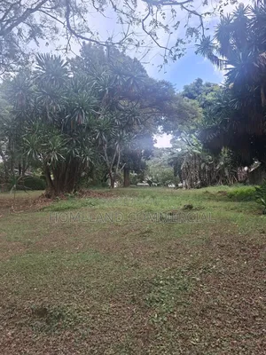 Land for Lease
