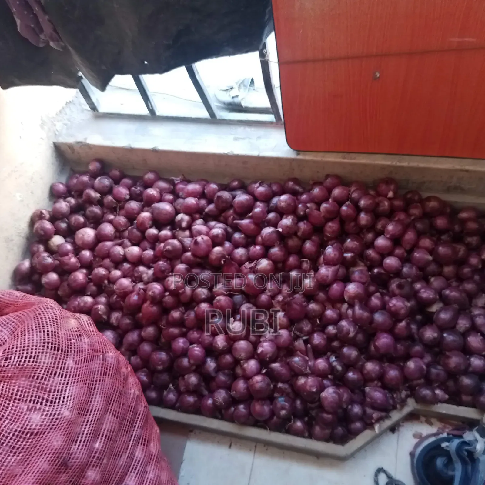Onion Farm