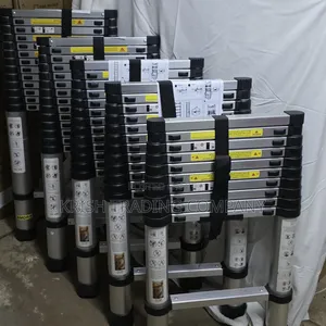 Single Telescopic Ladders