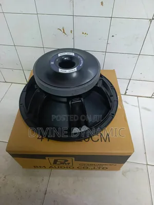 BM Audio 15-Inch Naked Speaker