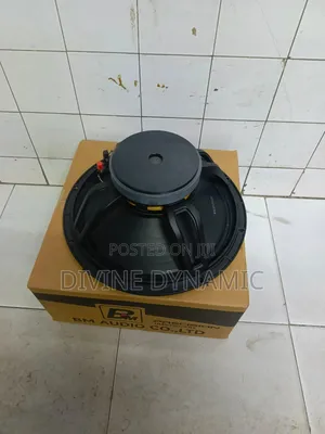 15-Inch BM Mid-Range Speaker