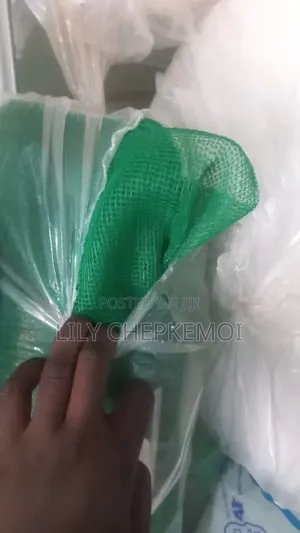 Scaffolding Net