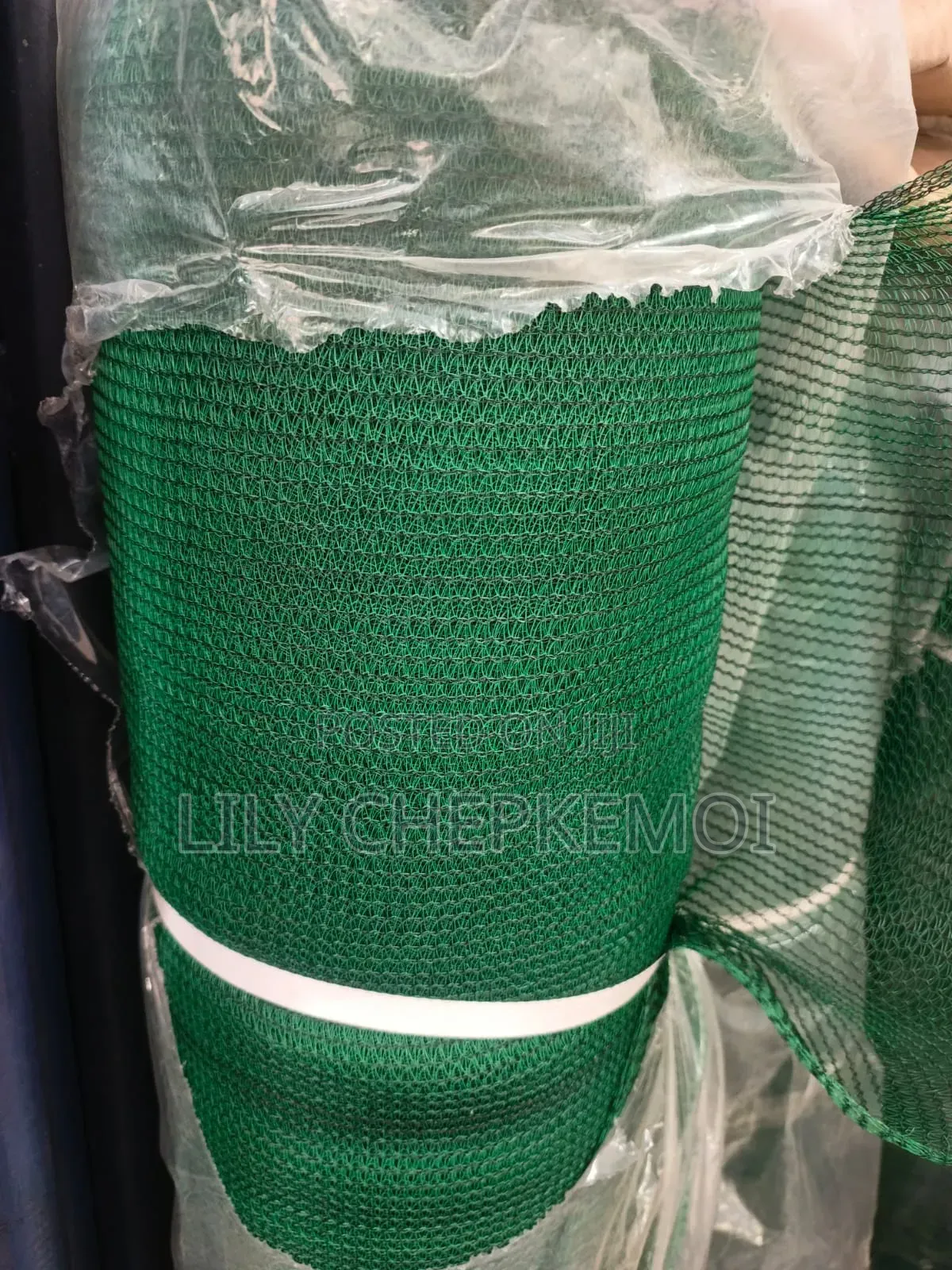 Scaffolding Net