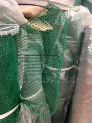 Scaffolding Net