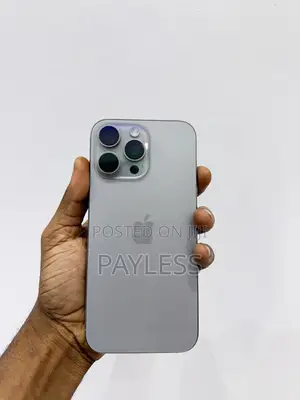 Apple iPhone 16 Pro Max 256 GB Gray