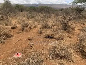 3 Acres at Ewuaso Kedong for Sale