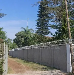 Silver Razors Wire (10meters)