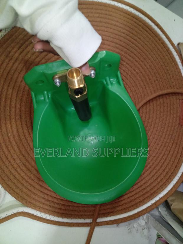 Low-Maintenance Goat Water Drinker - main view