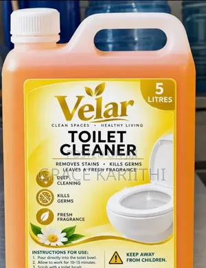 Toilet Cleaner