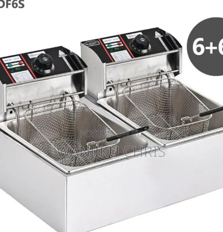 Electric Stainless Double Deep Fryer