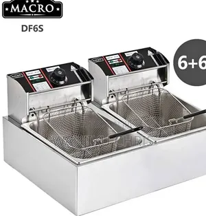 Electric Stainless Double Deep Fryer
