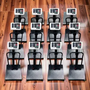 Accurate Weighing 100Kgs,150Kgs,300Kgs Digital Platform Weighing Scale