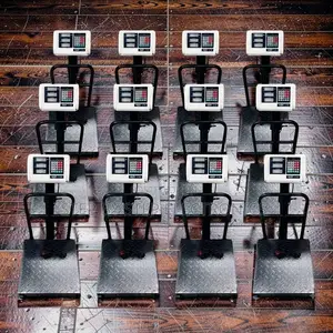 High Accuracy 100Kgs,150Kgs,300Kgs Digital Platform Weighing Scales