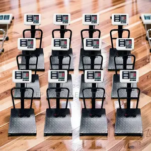 Easy Reading 100Kgs,150Kgs,300Kgs Digital Platform Weighing Scales
