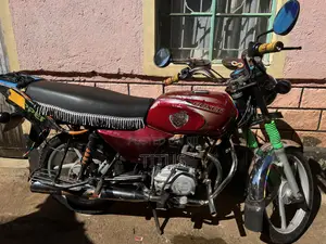 Bajaj Boxer 100 2020 Red