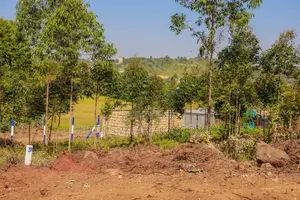 Kamangu-Kikuyu Plots 500 Meters From Tarmac^MWW