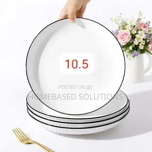 10.0 Inches Big Ceramic Concise Plates-6pcs