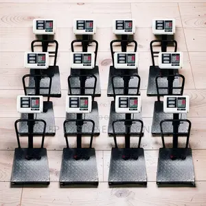 Zero Setting 100Kgs,150Kgs,300Kgs Digital Platform Weighing Scales