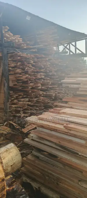 Sun-Dried Timber