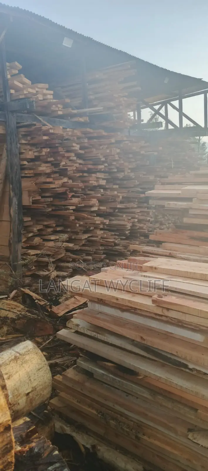 Sun-Dried Timber