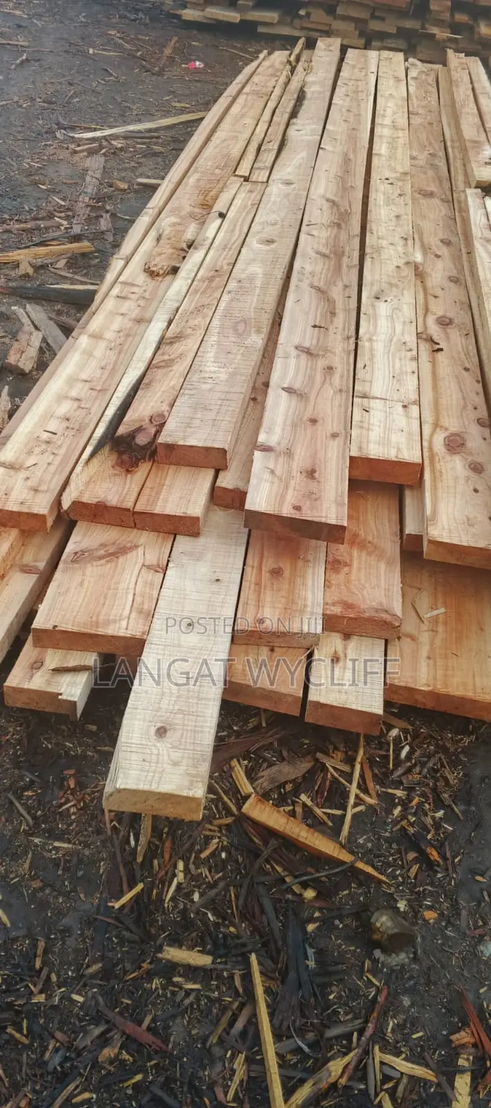 Sun-Dried Timber