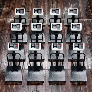 Clear LCD Display 100Kgs,150Kgs,300Kgs Digital Platform Weighing Scale