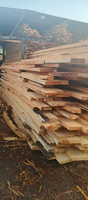 Glossary Timber