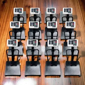 Simple Controls 100Kgs,150Kgs,300Kgs Digital Platform Weighing Scales