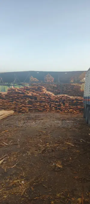 Hard Timber