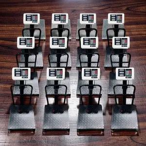 Quick Weighing 100Kgs,150Kgs,300Kgs Digital Platform Weighing Scales