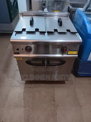 Double Industrial Fryer
