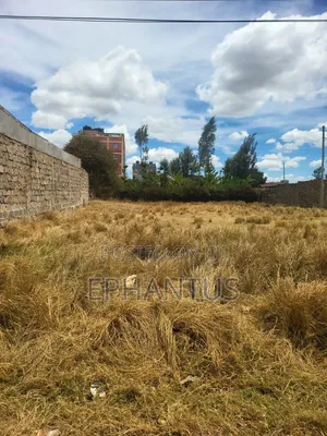 40 by 60 Plots Kenyatta Road Murera