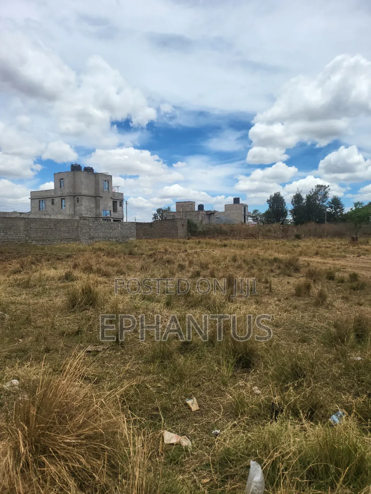 40 by 60 Plots Kenyatta Road Murera