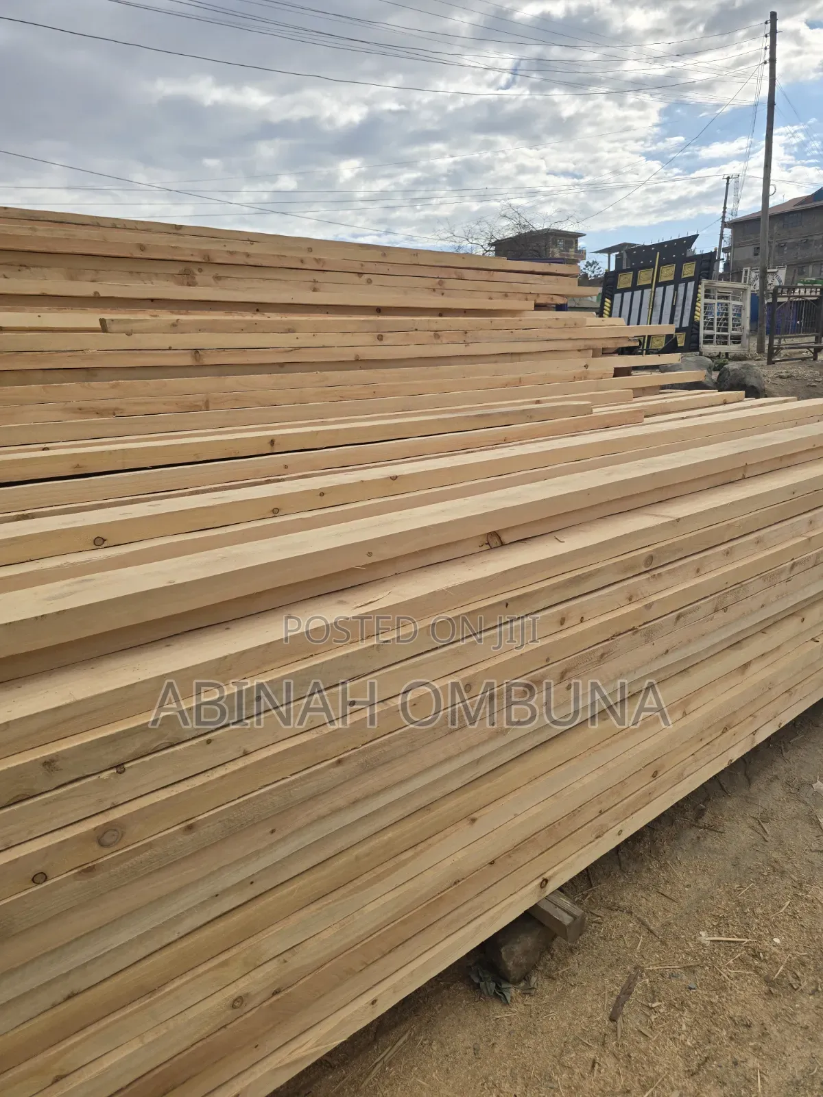 Fresh Cypress Timber