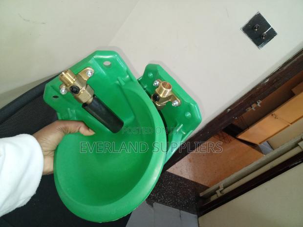 Durable Plastic Goat Drinker - main view