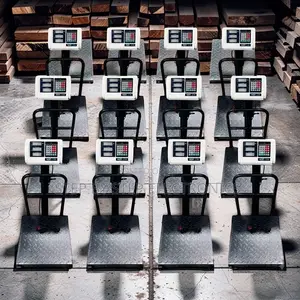 Fast Response 100Kgs,150Kgs,300Kgs Digital Platform Weighing Scales