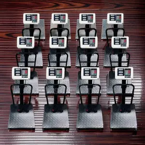 Low Maintenance 100Kgs,150Kgs,300Kgs Digital Platform Weighing Scales