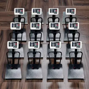 Bright Display 100Kgs,150Kgs,300Kgs Digital Platform Weighing Scales