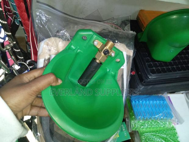 Goat Drinking Trough Plastic - main view