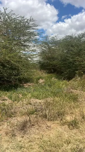 5 Acres for Sale Near Kinanie Leather Park