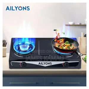 AILYONS 2 Burner Gas Cooker Stainless Steel Double Burner Gas Stove