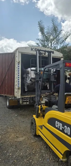 Forklift Electric