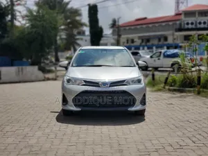Toyota Corolla Fielder 1.5 Petrol FWD 2019 Gray