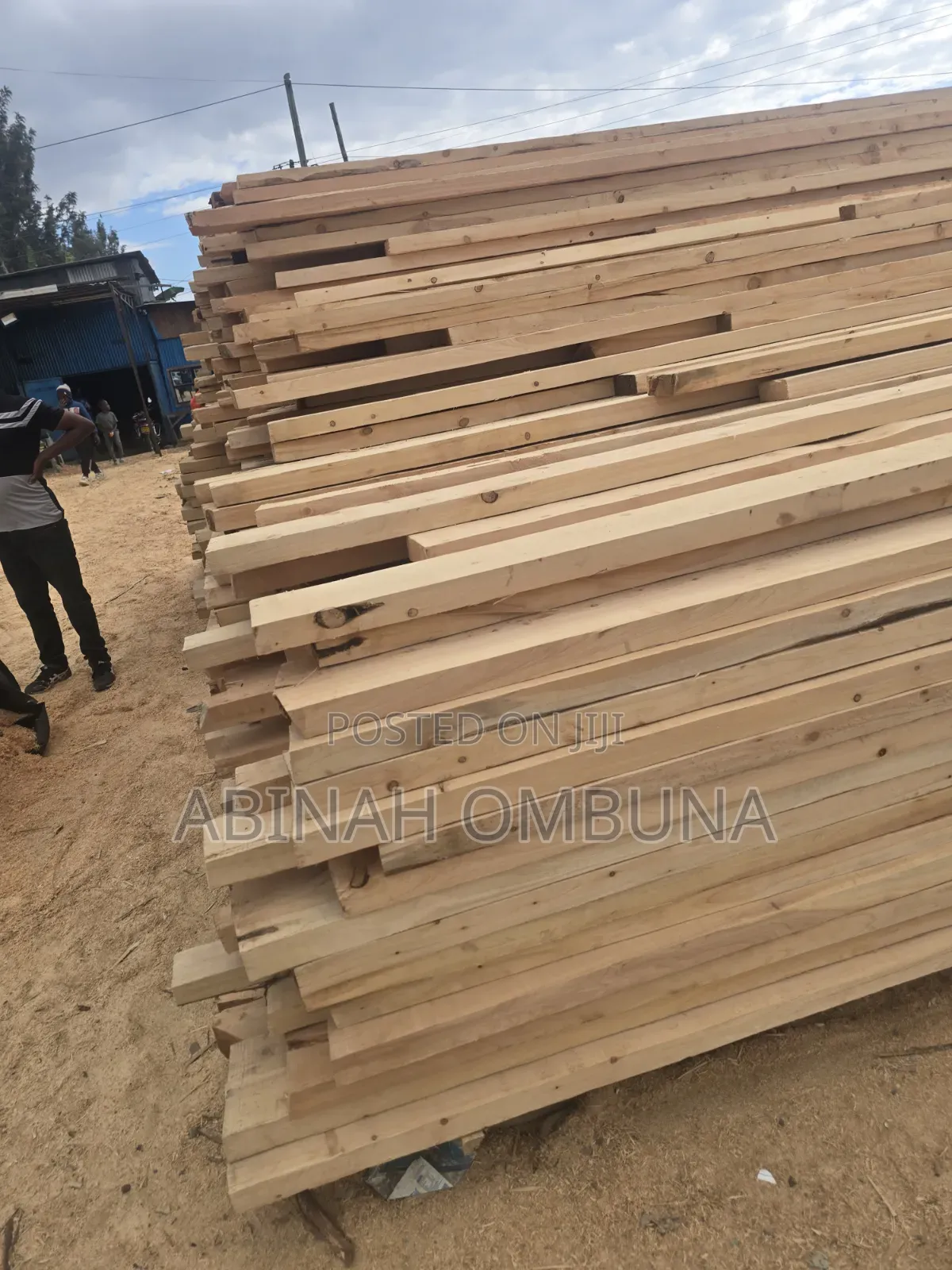 Cypruss Timber