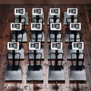 Retail Businesses 100Kgs,150Kgs,300Kgs Digital Platform Weighing Scale