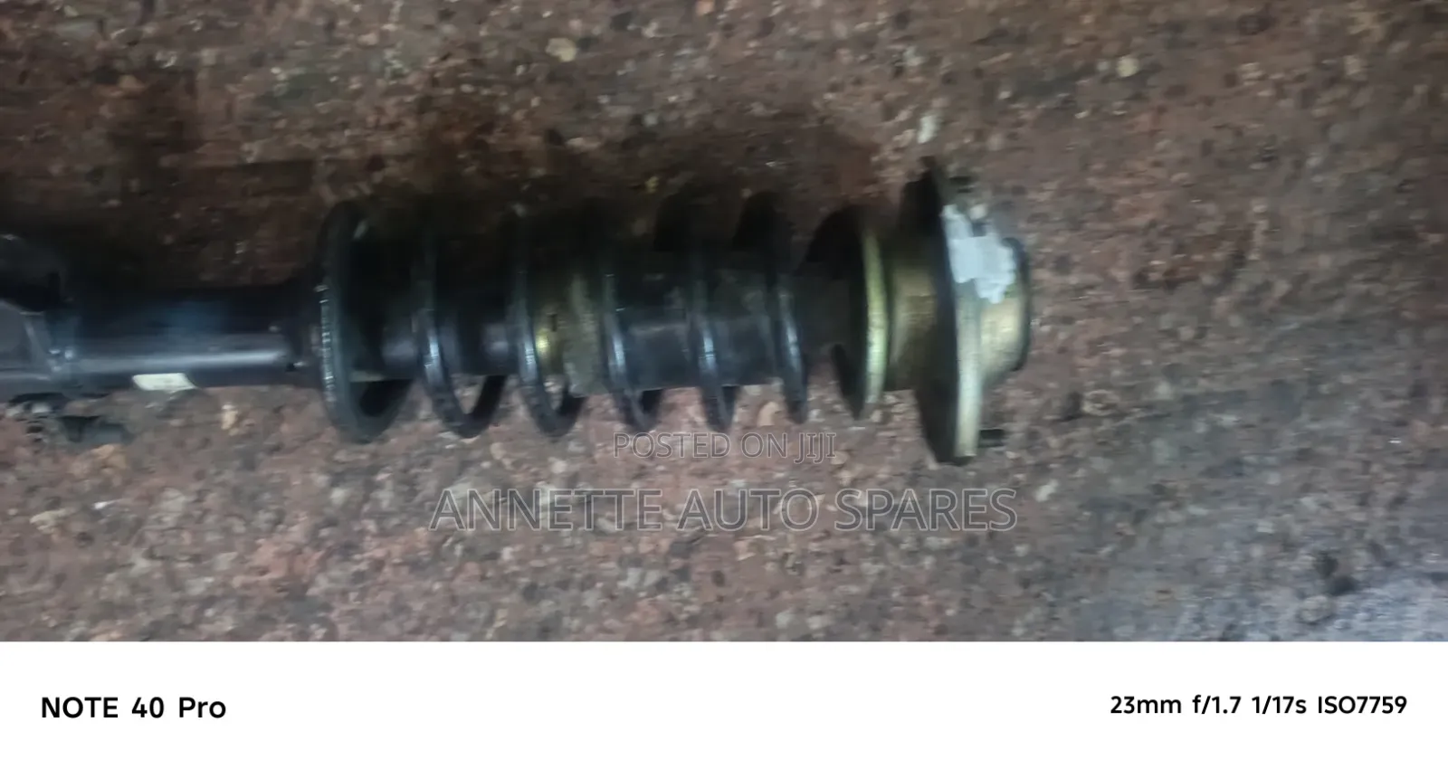 Complete Shock Alto Old Model