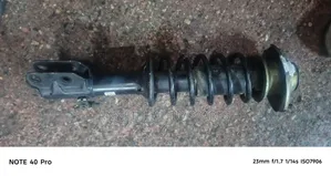 Complete Shock Alto Old Model