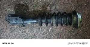 Complete Shock Alto Old Model
